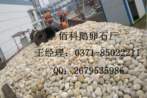 天然鵝卵石（純白色、純黑色）廠家
