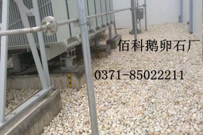 電力公司、電廠變壓器專用鵝卵石價(jià)格是多少錢一噸？